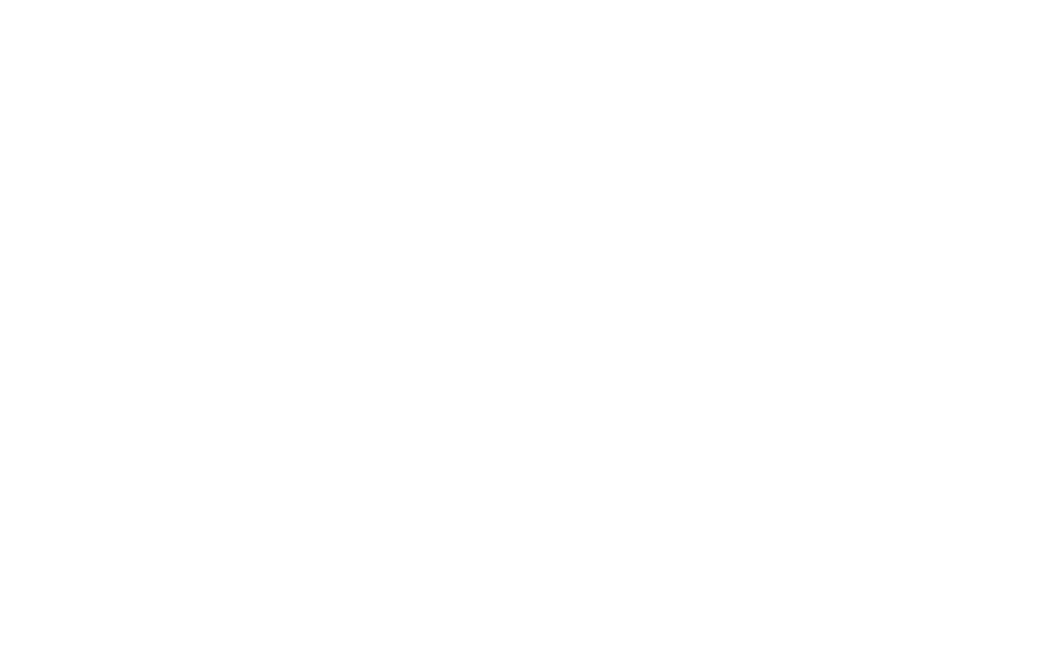 Vaca Vacía